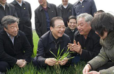 溫家寶:油價(jià)若漲將直補(bǔ)農(nóng)民