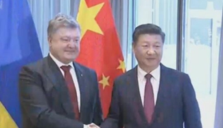 Xi Jinping holds meeting with Ukrainian counterpart in Davos