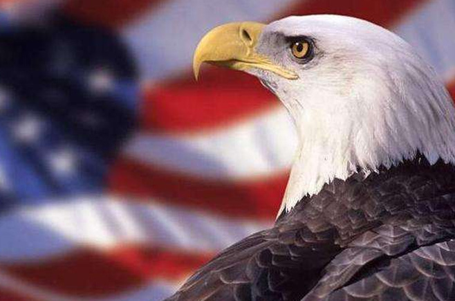 若鷹派掌權會發(fā)生什么？