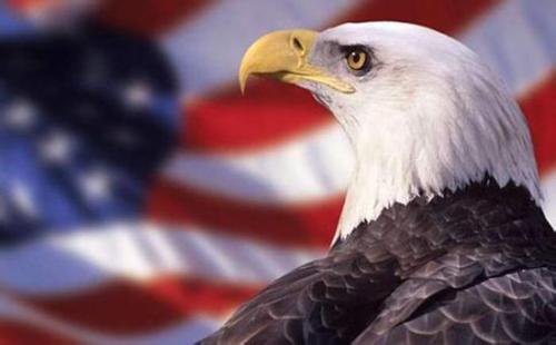 美聯儲官員繼續(xù)鷹派表態(tài) 3月加息概率提升