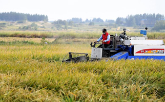 40年，小崗人的18個(gè)&ldquo;第一次&rdquo;