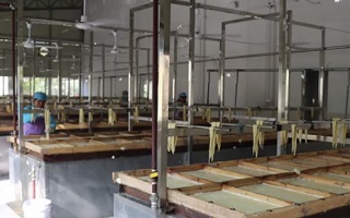 新春走基層丨機(jī)關(guān)青年如何變身&ldquo;草帽書(shū)記&rdquo;