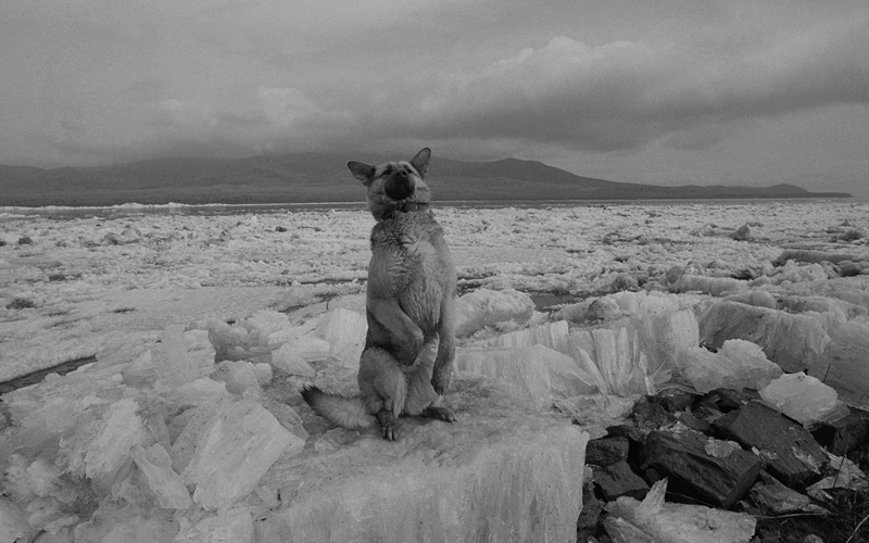 線云強(qiáng)作品:東方第一哨，最早迎接太陽的士兵