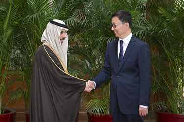 韓正集體會見阿拉伯、伊斯蘭國家外長聯(lián)合代表團