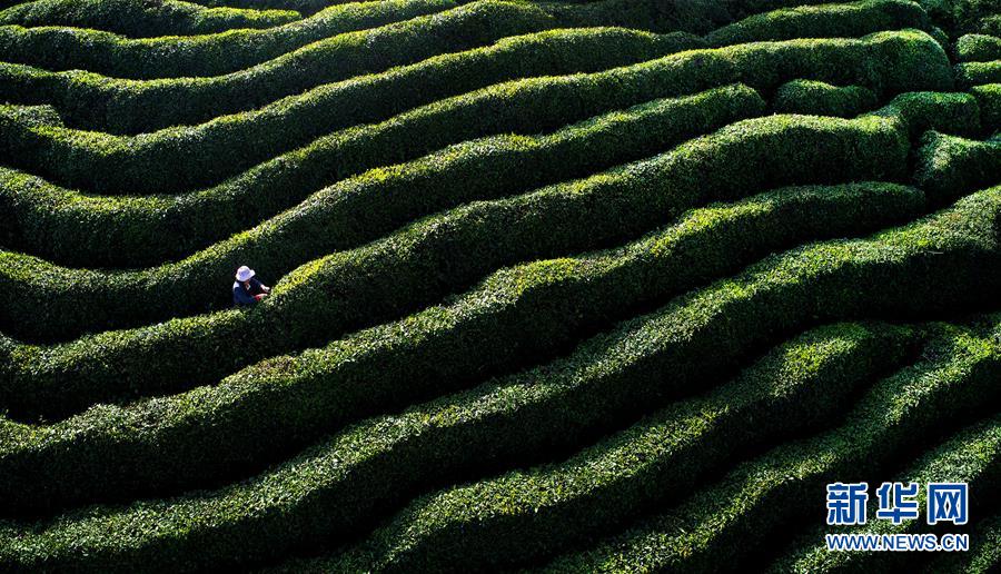 （鏡觀中國&middot;新華網）（10）新華社國內照片一周精選