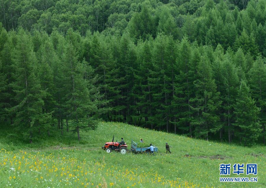 （壯闊東方潮 奮進新時代&mdash;&mdash;慶祝改革開放40年）（4）美麗中華大地書寫綠色傳奇