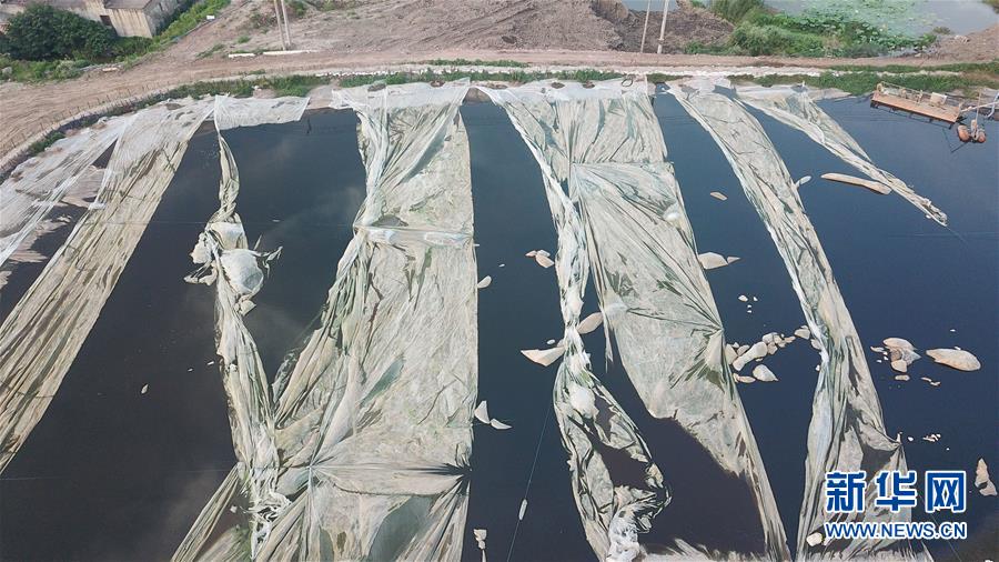 （新華視點&middot;圖文互動）（4）中央督察兩年有的絲毫未改，有的不減反增&mdash;&mdash;江蘇泰興數(shù)萬噸化工廢料和污泥堆放長江邊調(diào)查