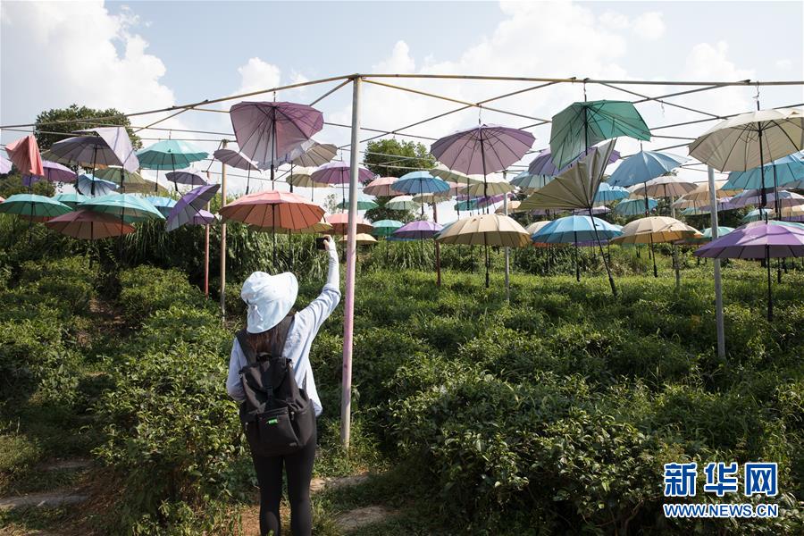 （大江奔流&mdash;&mdash;來(lái)自長(zhǎng)江經(jīng)濟(jì)帶的報(bào)道&middot;圖文互動(dòng)）（4）在這里，做一個(gè)幸福的農(nóng)民