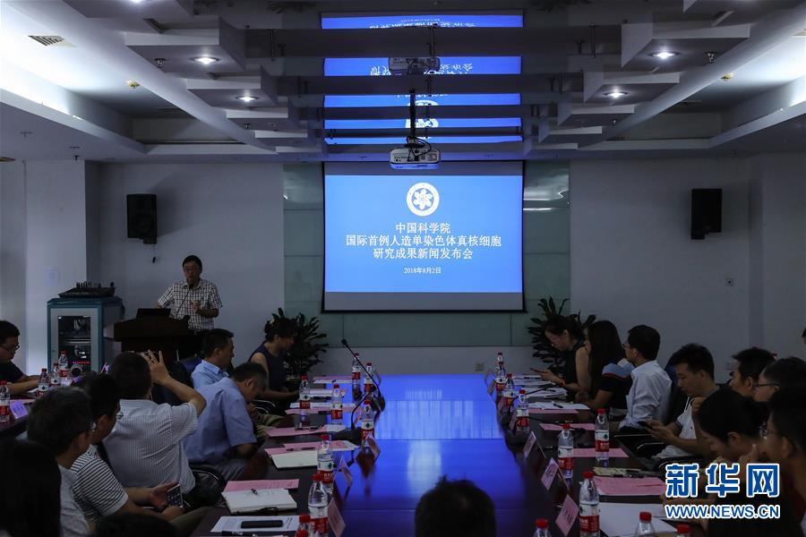 （新華全媒頭條&middot;圖文互動(dòng)）（6）人造單條染色體真核細(xì)胞問(wèn)世　我國(guó)開啟合成生物學(xué)研究新時(shí)代