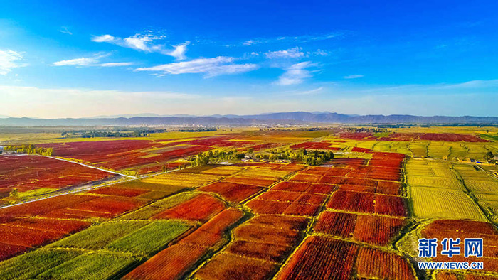 秋收的中國(guó)，你想象不到的美！但更美的是&hellip;&hellip;