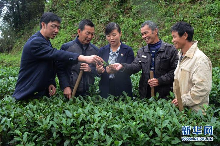 (新時代擔(dān)當(dāng)作為典型風(fēng)采·圖文互動)(2)梁金華:為民辦事就是自己最大的價值