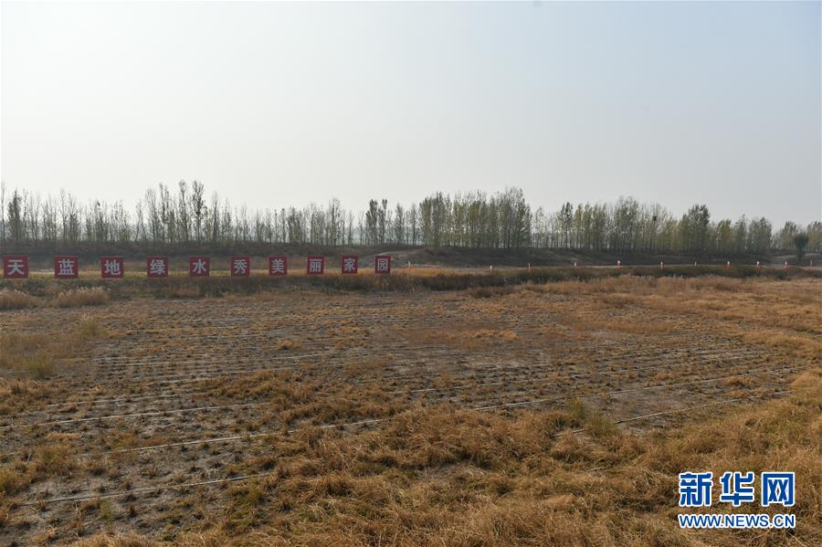 （在習(xí)近平新時(shí)代中國(guó)特色社會(huì)主義思想指引下&middot;慶祝改革開(kāi)放40周年&middot;綠色發(fā)展）（新華全媒頭條&middot;圖文互動(dòng)）（6）綠色發(fā)展：書(shū)寫(xiě)在中國(guó)大地上的美麗畫(huà)卷