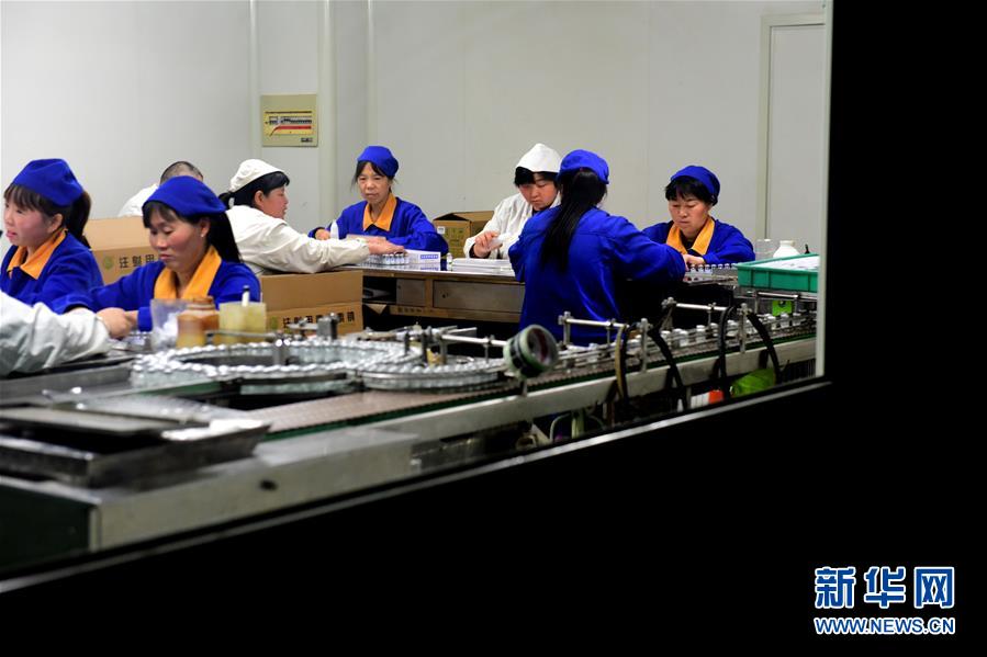 （慶祝改革開放40周年基層行&middot;村莊篇&middot;圖文互動(dòng)）（4）走向更高質(zhì)量發(fā)展&mdash;&mdash;劉莊的40年&ldquo;幸福路&rdquo;