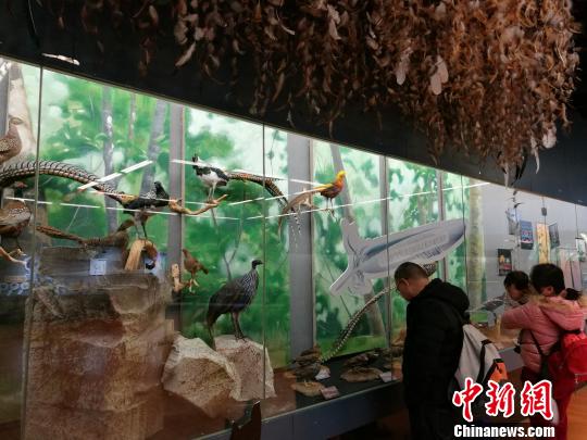 圖為展覽現(xiàn)場?！『h(yuǎn)航 攝