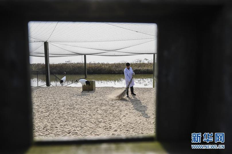 (兩會(huì)前夕看落實(shí)·圖文互動(dòng))(3)綠色發(fā)展引領(lǐng) 守護(hù)“魚(yú)米之鄉(xiāng)”——江蘇落實(shí)習(xí)近平總書記全國(guó)兩會(huì)重要講話精神紀(jì)實(shí)