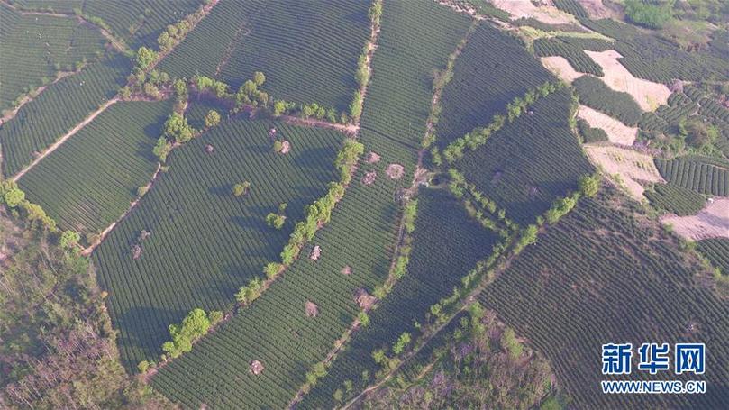 (兩會(huì)前夕看落實(shí)·圖文互動(dòng))(9)綠色發(fā)展引領(lǐng) 守護(hù)“魚(yú)米之鄉(xiāng)”——江蘇落實(shí)習(xí)近平總書記全國(guó)兩會(huì)重要講話精神紀(jì)實(shí)