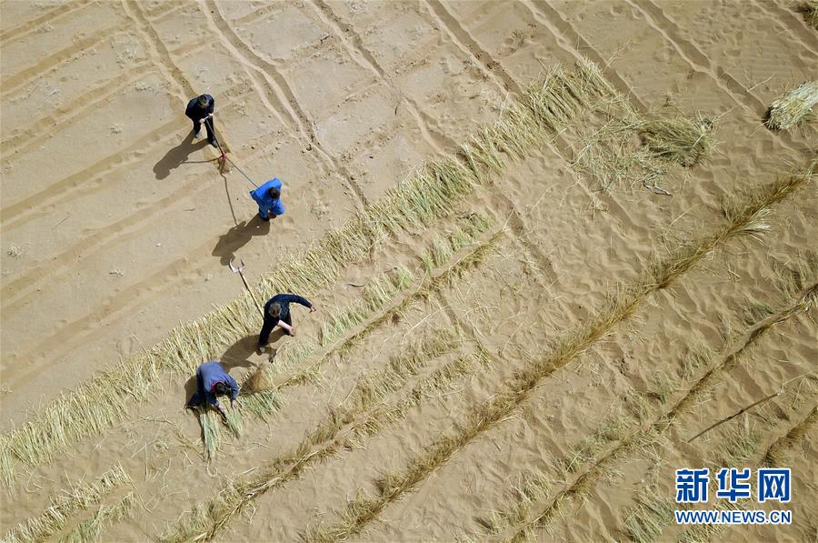 (新華全媒頭條·圖文互動)(9)八步沙·六老漢·三代人