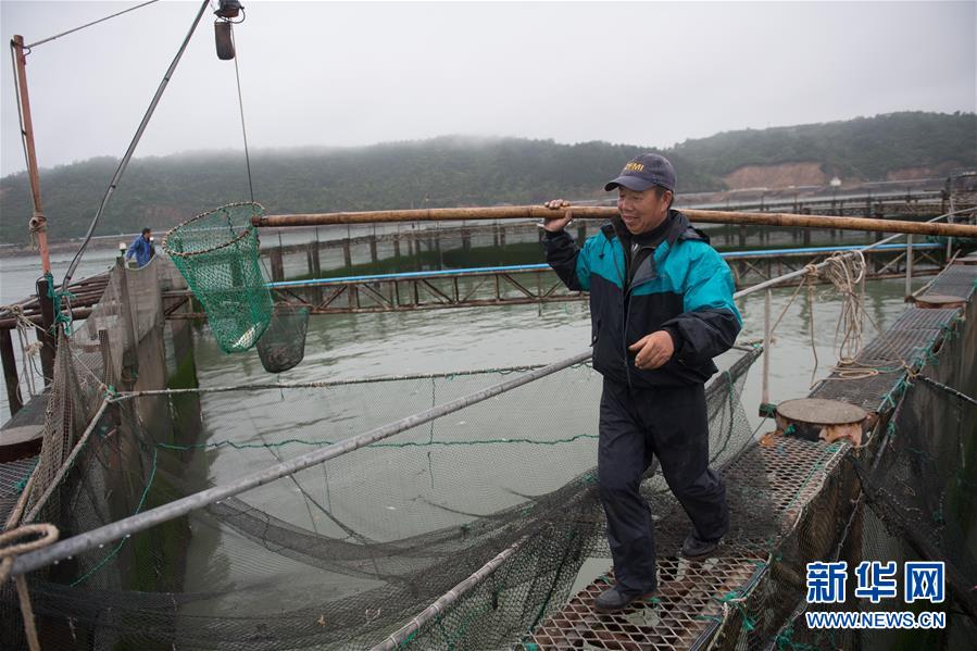 （壯麗70年&middot;奮斗新時(shí)代&middot;圖文互動(dòng)）（6）&ldquo;東海明珠&rdquo;挺立一座&ldquo;精神燈塔&rdquo;&mdash;&mdash;追尋浙江臺(tái)州大陳島墾荒精神
