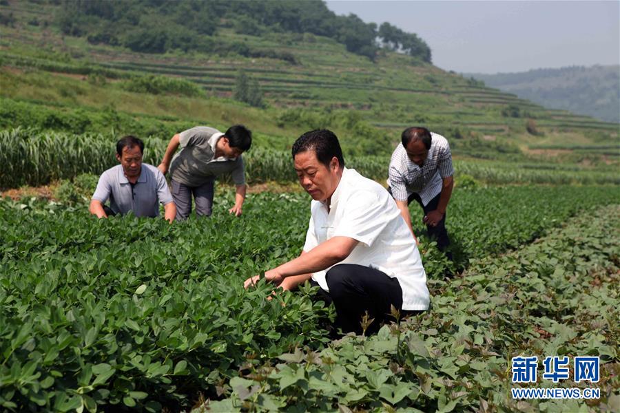 (新華全媒頭條·圖文互動(dòng))(1)讓奮斗成為人生最亮麗的底色——寫在2019年“五一”國(guó)際勞動(dòng)節(jié)到來之際