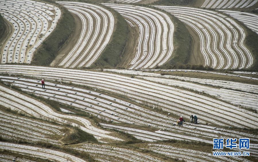 （新華全媒頭條&middot;壯麗70年&middot;奮斗新時代&middot;圖文互動）（7）中國減貧的西海固報告