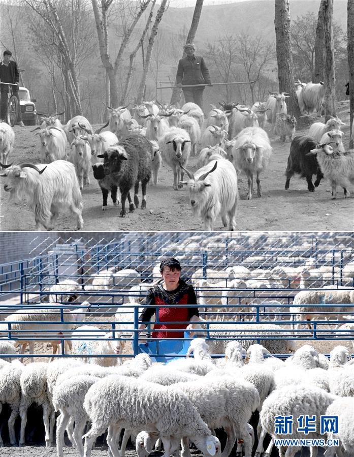 (新華全媒頭條·圖文互動(dòng))(4)不忘初心使命 永立時(shí)代潮頭——寫(xiě)在中國(guó)共產(chǎn)黨成立98周年之際