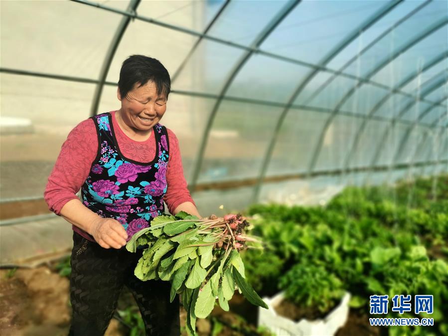 （圖文互動(dòng)）（3）（在習(xí)近平新時(shí)代中國(guó)特色社會(huì)主義思想指引下&mdash;&mdash;新時(shí)代新作為新篇章）&ldquo;團(tuán)結(jié)&rdquo;振興團(tuán)結(jié)村&mdash;&mdash;黑龍江拜泉縣團(tuán)結(jié)村凝聚民心攻堅(jiān)脫貧