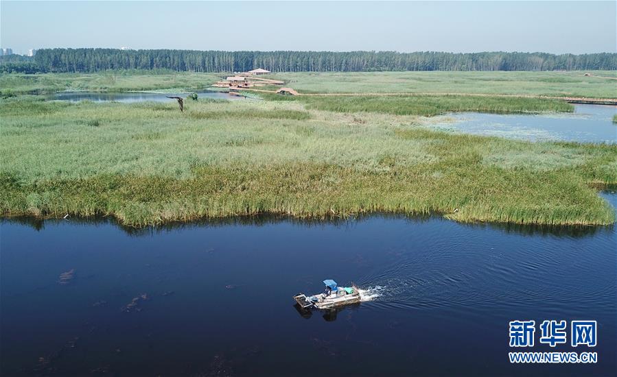 (壯麗70年·奮斗新時代·重溫囑托看變化·圖文互動)(4)雄安新區(qū):錨定高質(zhì)量發(fā)展 奮力書寫新時代答卷