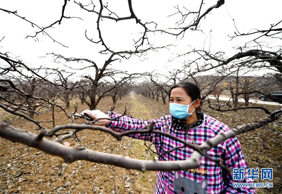 (聚焦疫情防控·圖文互動(dòng))(3)農(nóng)民工返城:幾多憧憬幾許等待——走進(jìn)疫情下的河北勞務(wù)輸出專(zhuān)業(yè)村