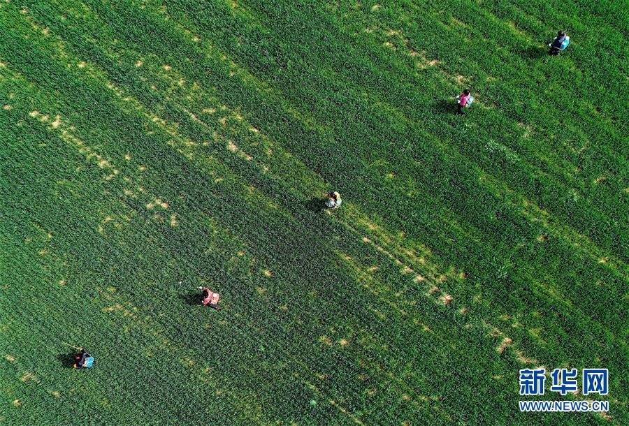 （新華全媒頭條&middot;圖文互動(dòng)）（5）春天，匯聚復(fù)蘇的力量&mdash;&mdash;寫(xiě)在2020年首季中國(guó)經(jīng)濟(jì)收官之際