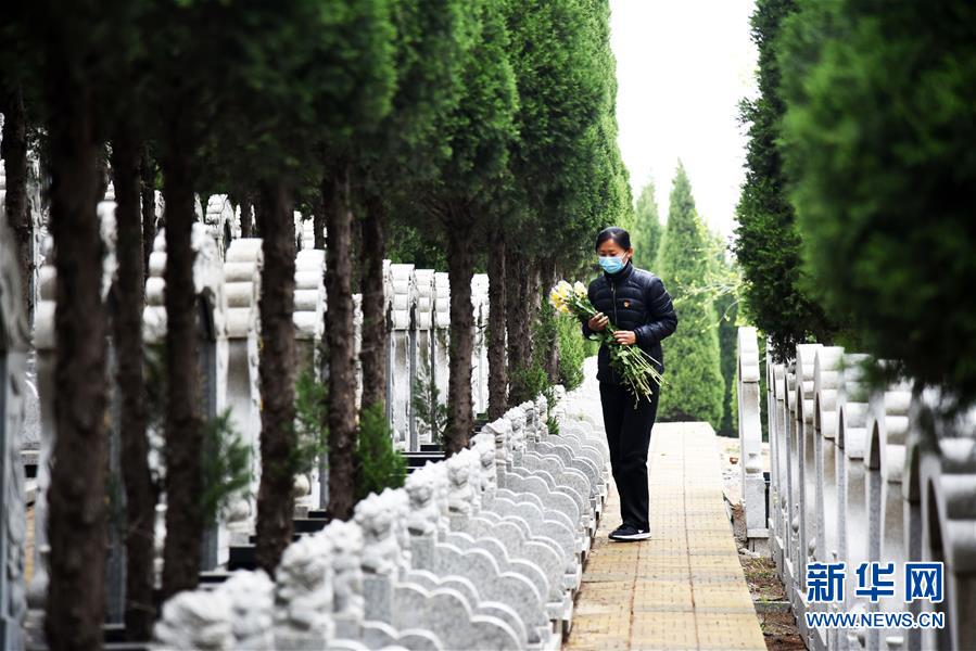 (社會(huì))(2)清明代祭寄哀思