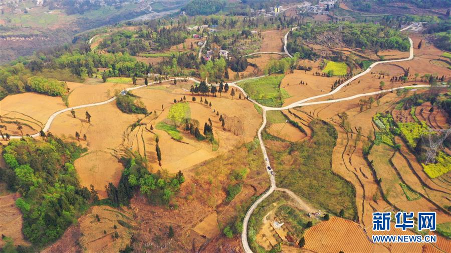 （決戰(zhàn)決勝脫貧攻堅(jiān)&middot;圖文互動(dòng)）（2）寄相思，償夙愿&mdash;&mdash;5封清明&ldquo;家書&rdquo;里的決戰(zhàn)決勝信念