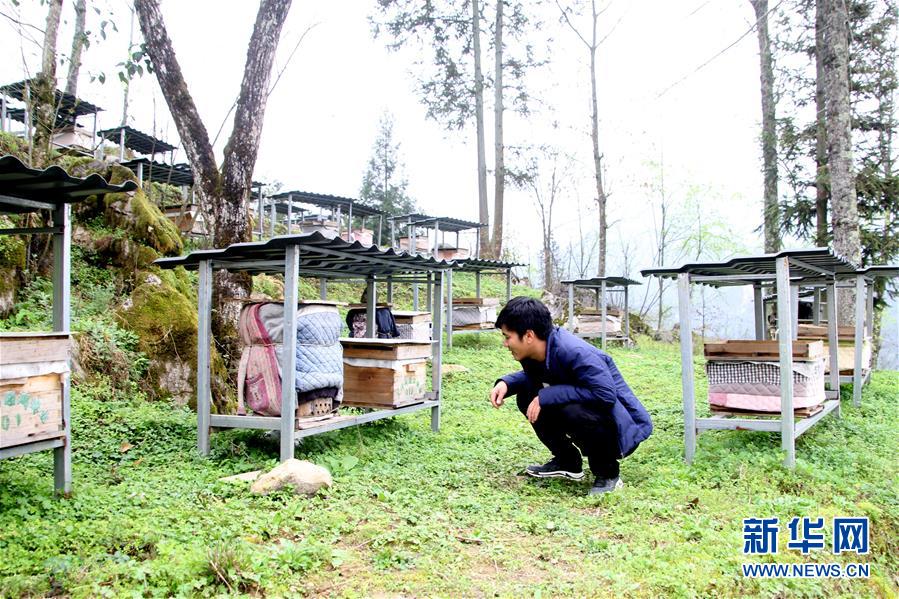 （決戰(zhàn)決勝脫貧攻堅(jiān)&middot;圖文互動(dòng)）（3）寄相思，償夙愿&mdash;&mdash;5封清明&ldquo;家書&rdquo;里的決戰(zhàn)決勝信念