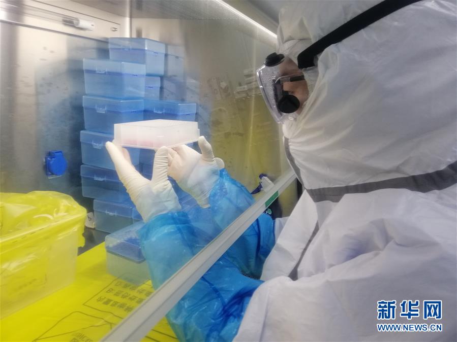 （一線抗疫群英譜&middot;圖文互動）（2）&ldquo;95后&rdquo;大學(xué)生郝鶯歌：退掉車票，她選擇直面病毒