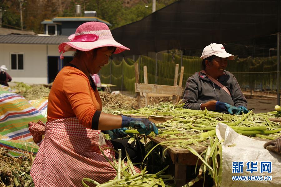 (在習近平新時代中國特色社會主義思想指引下——新時代新作為新篇章·習近平總書記關(guān)切事·圖文互動)(4)啃下最后的硬骨頭——脫貧攻堅掛牌督戰(zhàn)進行時