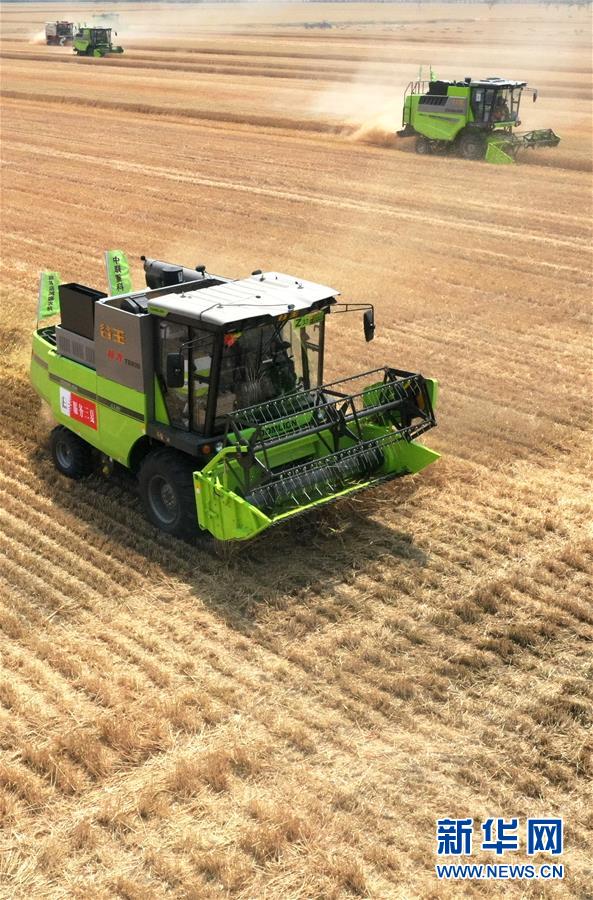 (在習近平新時代中國特色社會主義思想指引下——新時代新作為新篇章·習近平總書記關(guān)切事·圖文互動)(13)讓農(nóng)民挑上“金扁擔”——農(nóng)業(yè)現(xiàn)代化的生動實踐掃描