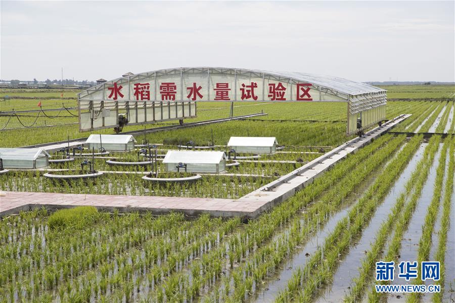 （走向我們的小康生活&middot;圖文互動(dòng)）（6）端牢&ldquo;中國(guó)飯碗&rdquo; 播種綠色小康