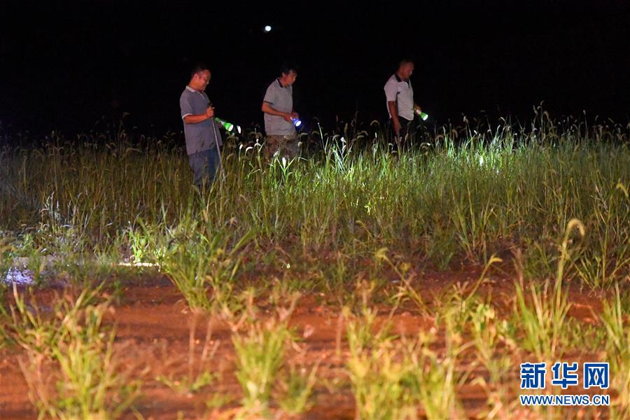 （防汛抗洪&middot;圖文互動）（2）&ldquo;保衛(wèi)家園，誰都不能是旁觀者&rdquo;&mdash;&mdash;夜訪洞庭湖大堤防汛一線