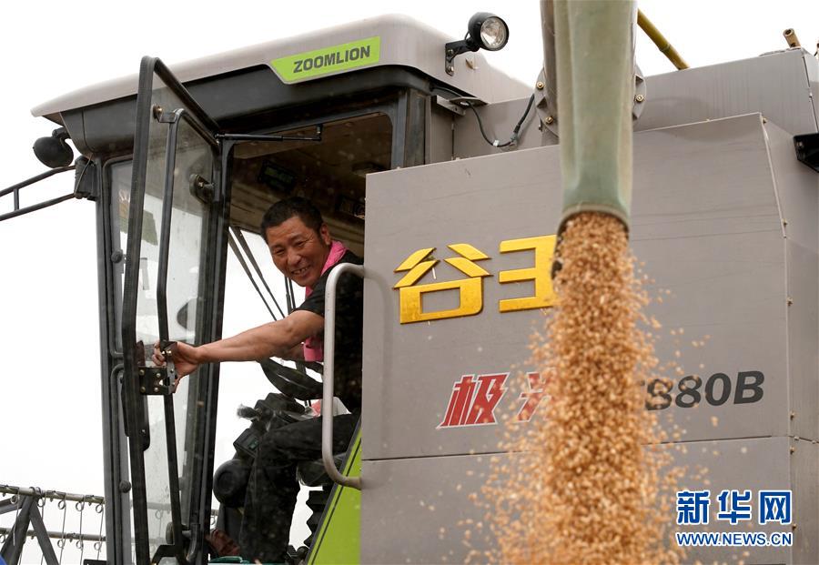 （在習近平新時代中國特色社會主義思想指引下&mdash;&mdash;新時代新作為新篇章&middot;習近平總書記關切事&middot;圖文互動）（3）食為政首&mdash;&mdash;穩(wěn)住農(nóng)業(yè)基本盤增添發(fā)展底氣