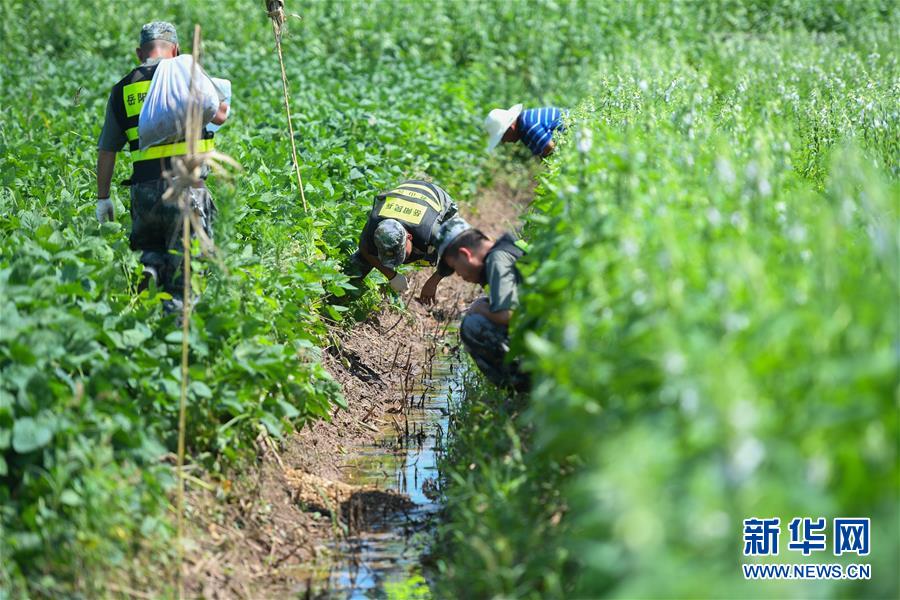 (新華全媒頭條·圖文互動(dòng))(10)筑起共御水患的鋼鐵長堤——戰(zhàn)洪一線的“干群關(guān)系新答卷”