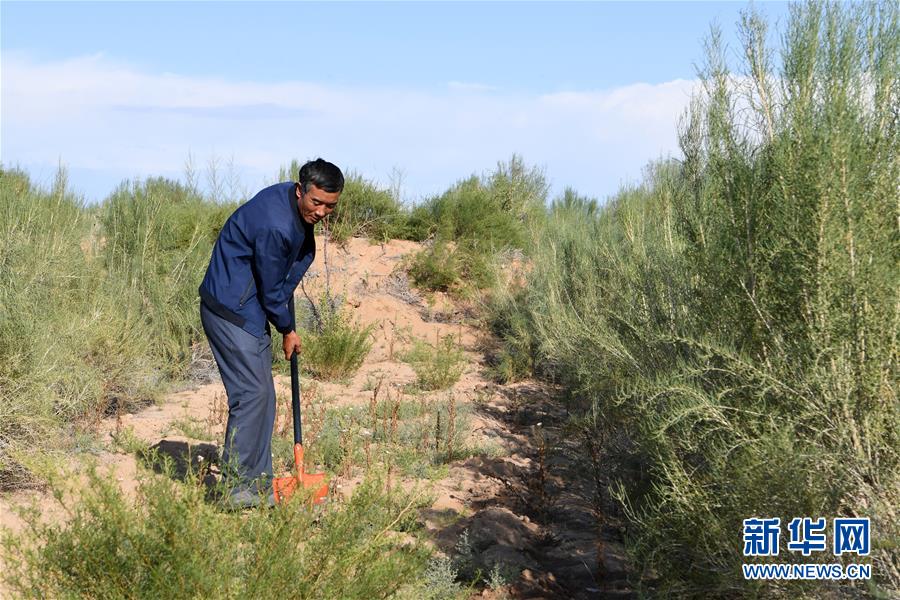 （新華全媒頭條&middot;走向我們的小康生活&middot;圖文互動）（8）&ldquo;苦甲&rdquo;不再，&ldquo;甘味&rdquo;綿長&mdash;&mdash;脫貧攻堅的甘肅味道