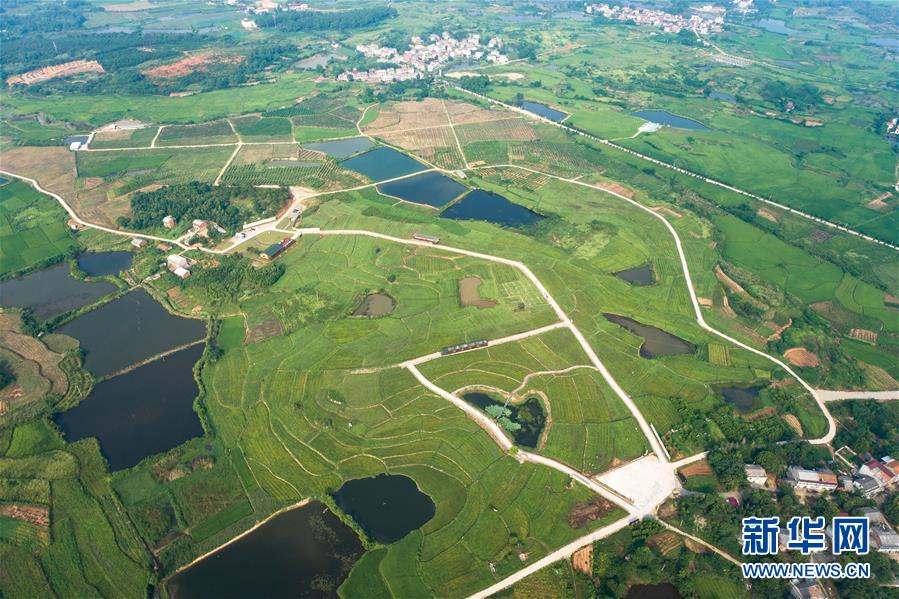 （新華全媒頭條&middot;走向我們的小康生活&middot;圖文互動）（1）特殊之年，荊楚大地書寫不平凡的答卷