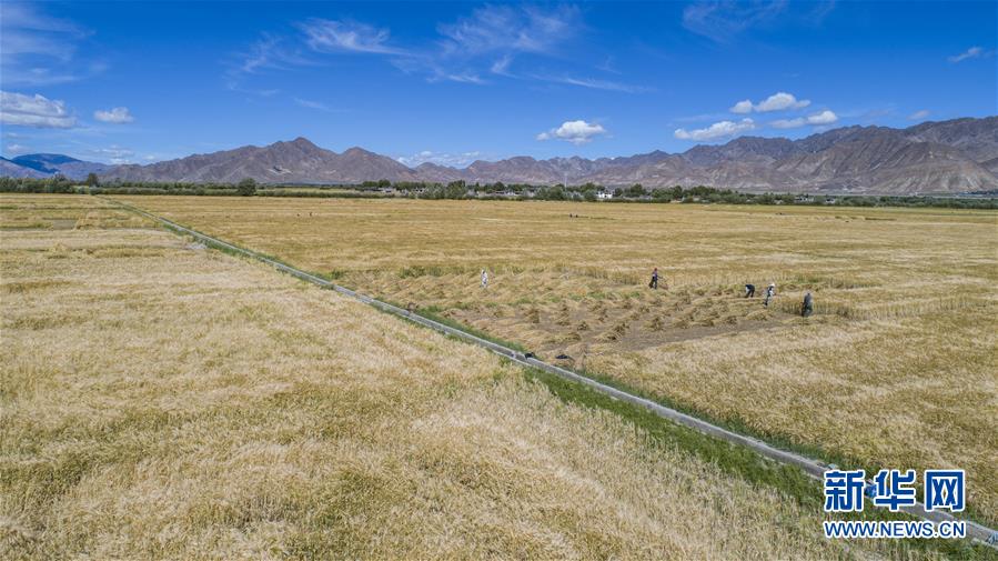 （新華全媒頭條&middot;走向我們的小康生活&middot;圖文互動(dòng)）（11）扎西德勒，我們的新家園&mdash;&mdash;西藏易地扶貧搬遷搬出幸福美好新生活