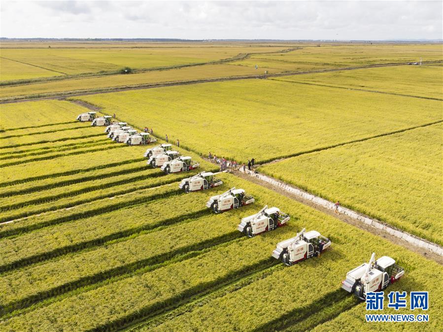 （新華全媒頭條&middot;圖文互動(dòng)）（15）奮斗結(jié)碩果，再寫(xiě)新篇章&mdash;&mdash;寫(xiě)在共和國(guó)71周年華誕之際