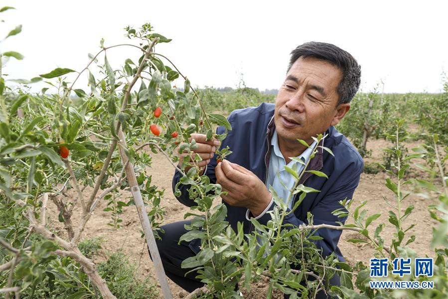 （全面建成小康社會&ldquo;百城千縣萬村調(diào)研行&rdquo;&middot;圖文互動(dòng)）（1）寧夏華寺村：做活&ldquo;土&rdquo;文章 村民享小康