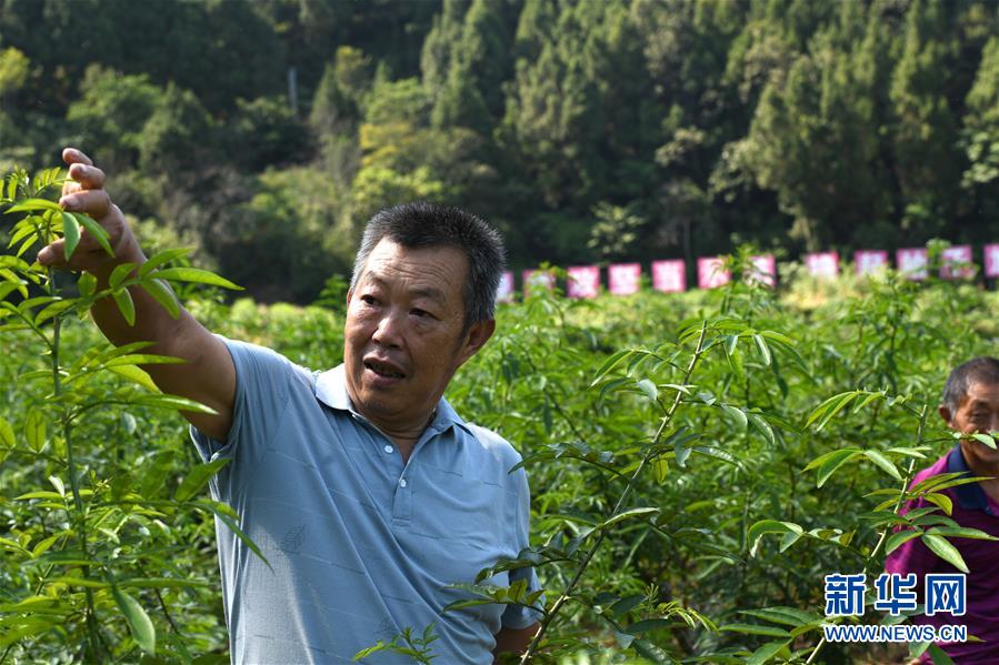 （決戰(zhàn)決勝脫貧攻堅(jiān)&middot;圖文互動(dòng)）（4）&ldquo;堵槍眼&rdquo;的脫貧戰(zhàn)怎么打？&mdash;&mdash;繼光村見(jiàn)聞