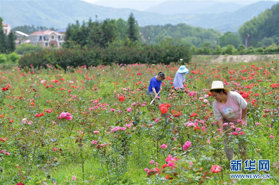 (新華全媒頭條·圖文互動(dòng))(1)幕阜山“搬窮”記