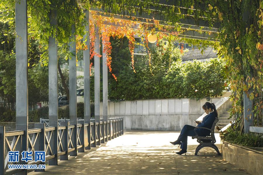 (全面建成小康社會(huì)“百城千縣萬(wàn)村調(diào)研行”·圖文互動(dòng))(2)武漢:從“見縫插樓”到“見縫播綠”