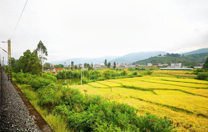 坐著高鐵看中國(guó)｜走成昆，感受闖過(guò)禁區(qū)的光影記錄