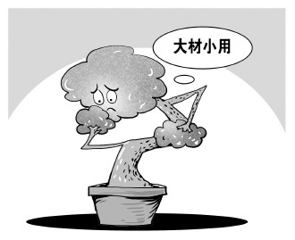自認&ldquo;大材小用&rdquo;，不如腳踏實地