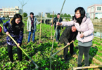 浙江鄉(xiāng)鎮(zhèn)駐村干部：手拿&ldquo;百曉圖&rdquo;奔走&ldquo;民生路&rdquo;